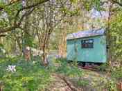George’s Hut