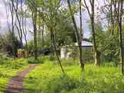 Willow Yurt