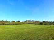 Site layout