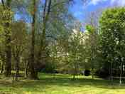 Lots of greenery and woodland