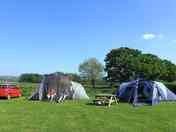 Lots of space for small and large tents
