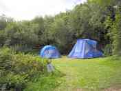 XL secluded grass tent pitch
