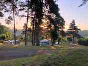 Tree-lined pitches