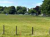 Grassy pitches