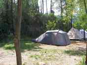 Pitch field surrounded by trees