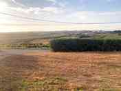 Mown grass pitches