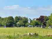 Grassy pitches sheltered by trees