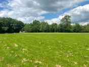 Grass pitch