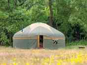 Lovely setting for the yurts