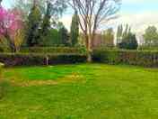 Grass pitch