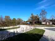 The Beeches