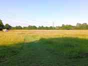 meadow Pitch