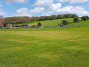 View from pitches