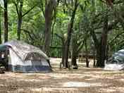 Camping in the woods