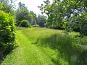 Camping field