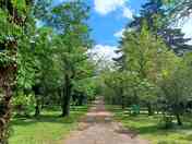 Tent and caravan pitches