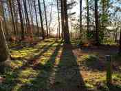 Woodland Pitches in Minto View