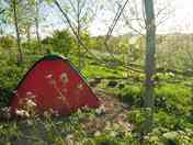 Secluded pitch