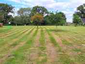 Grassy pitches