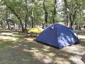 Pitches under the trees