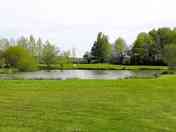 View from the electric pitches
