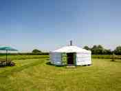 Traditional Mongolian Yurt