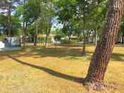 Grass pitches