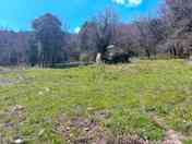 Grass pitches