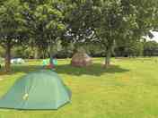 Camp in the sun or under the shades of trees
