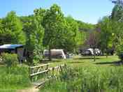 Grass pitches surrounded by trees