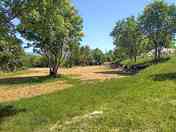 Grass tent pitches among the trees