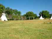 Grass pitches and tipis