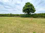 Camping and touring pitches