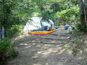 Pitches in the Corsican forest