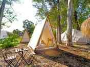 Buka tipis among the trees (added by manager 28 Feb 2024)