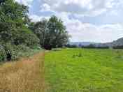 View of the site