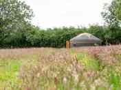 Yurt exterior