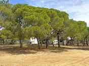 Camping pitches
