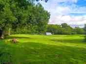 Peaceful setting