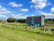 Shepherds Hut with fenced private garden (added by manager 01 May 2024)
