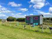 Shepherds Hut with fenced private garden