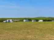 Grass pitches