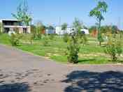 Grass pitches