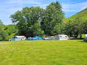 Electric grass pitches