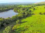 Main camping field