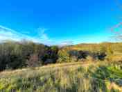 The View views