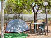 Pitch in the shade of the trees