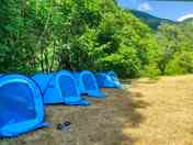 tents