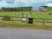 Grass area