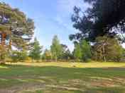 Grassy pitches